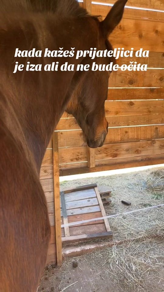 TikTok video thumbnail by ranch_reful