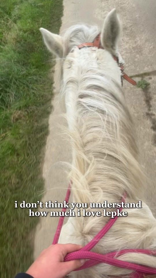 TikTok video thumbnail by shaniavanachte