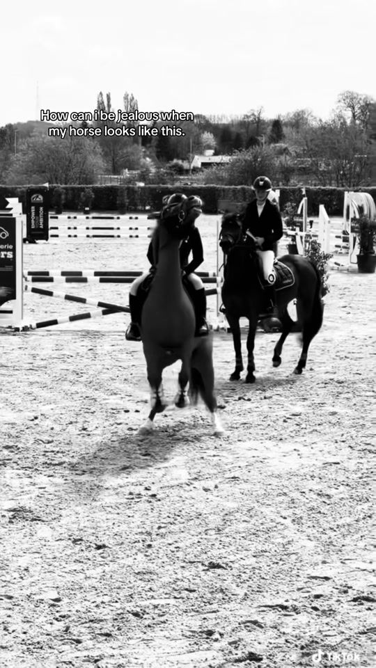 TikTok video thumbnail by equi_meysa