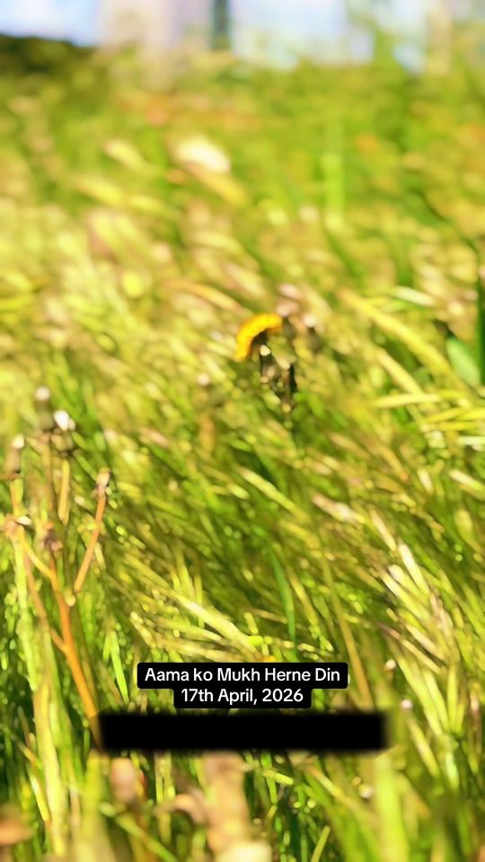 TikTok video thumbnail by manoj_mr.bond
