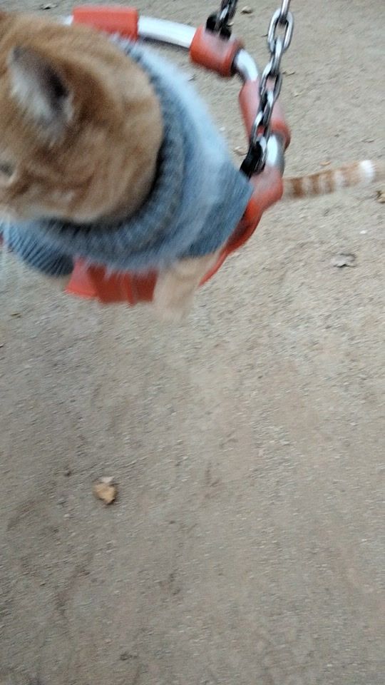 TikTok video thumbnail by sergiograuscarrer