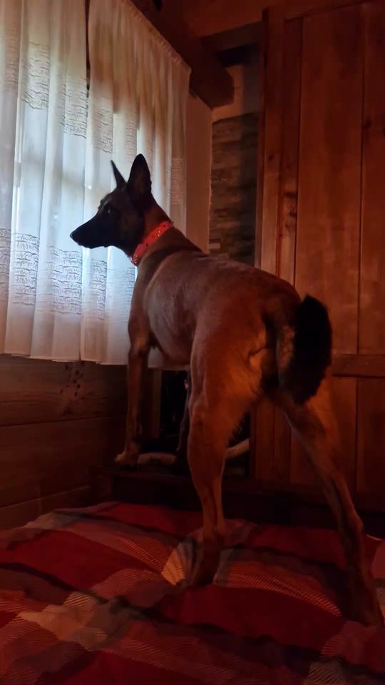 TikTok video thumbnail by ivy0046