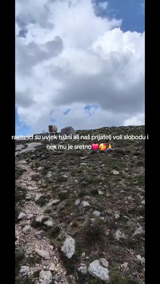 TikTok video thumbnail by dalibordzaja