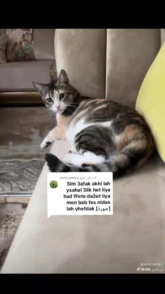 TikTok video thumbnail by kenitra.city