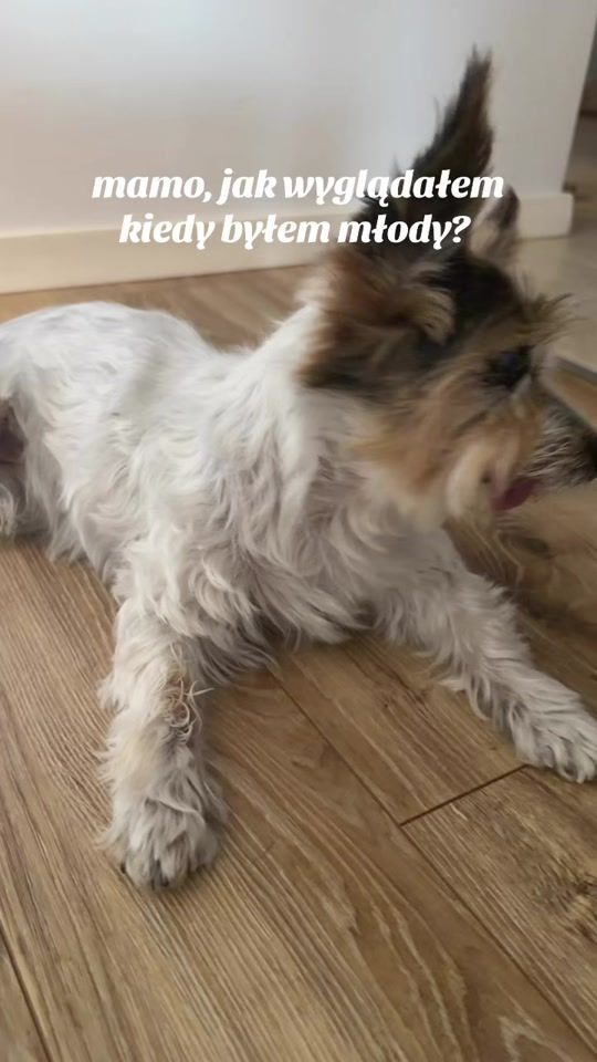 TikTok video thumbnail by natkakowalka