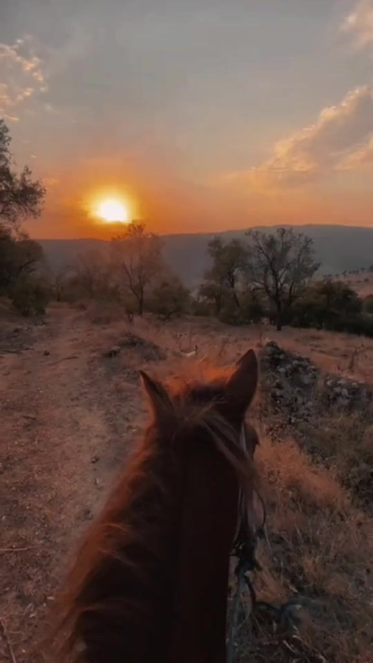 TikTok video thumbnail by storms490