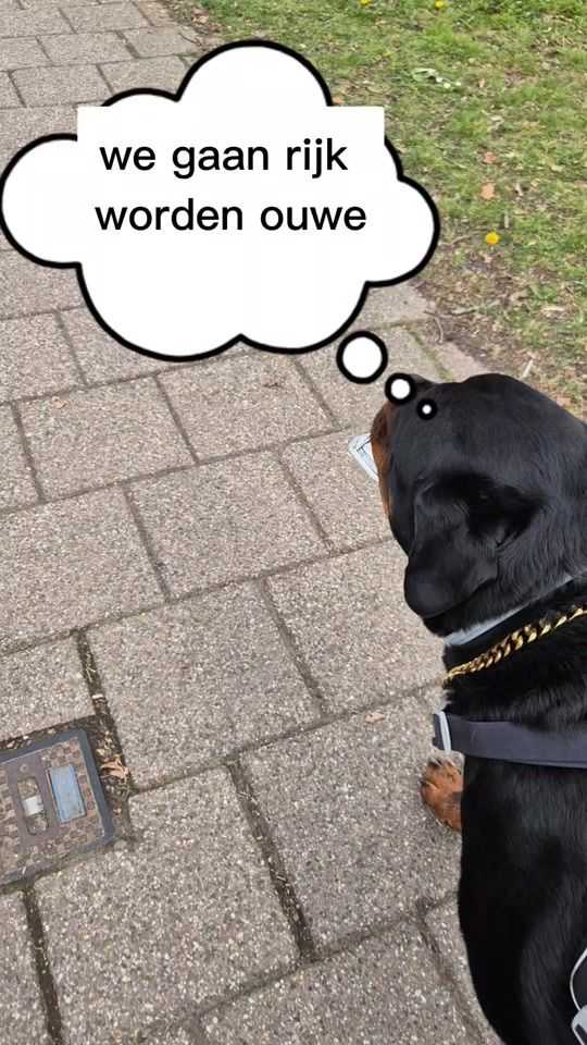 TikTok video thumbnail by miralkorkmaz