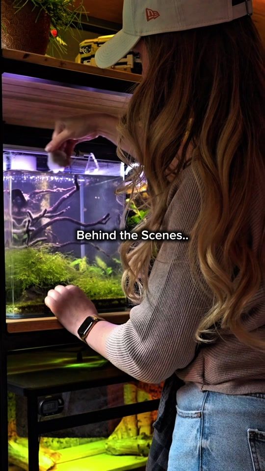 TikTok video thumbnail by lois.aquadesign