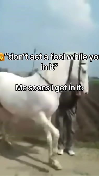 TikTok video thumbnail by tuffcritters