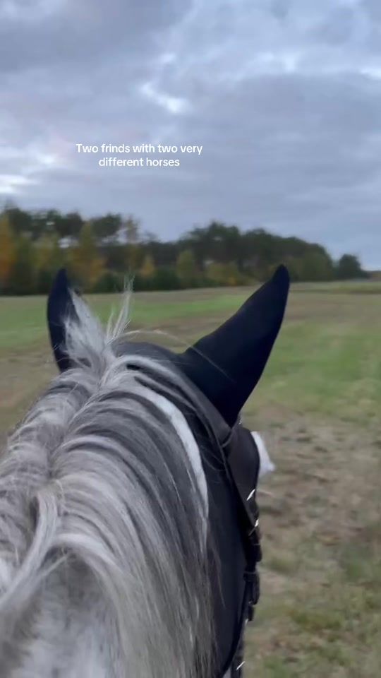 TikTok video thumbnail by karliina_eq