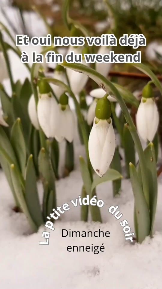 TikTok video thumbnail by madamecathe