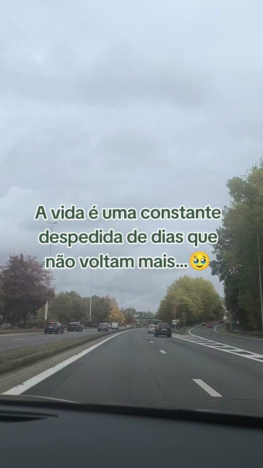 TikTok video thumbnail by lucimary070