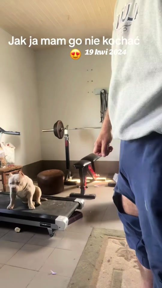 TikTok video thumbnail by siwywiking
