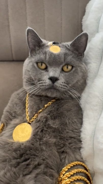 TikTok video thumbnail by rukiyee.pamuk