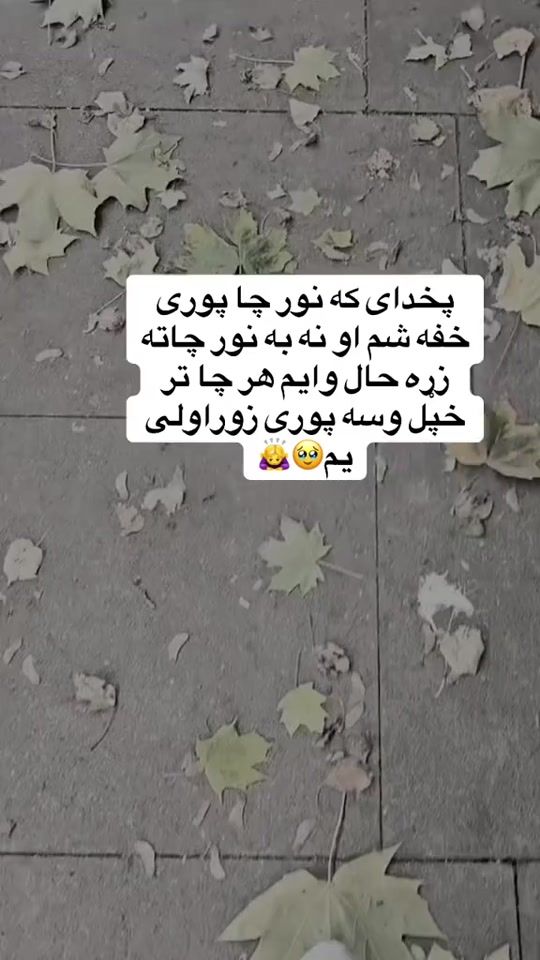 TikTok video thumbnail by afghane98