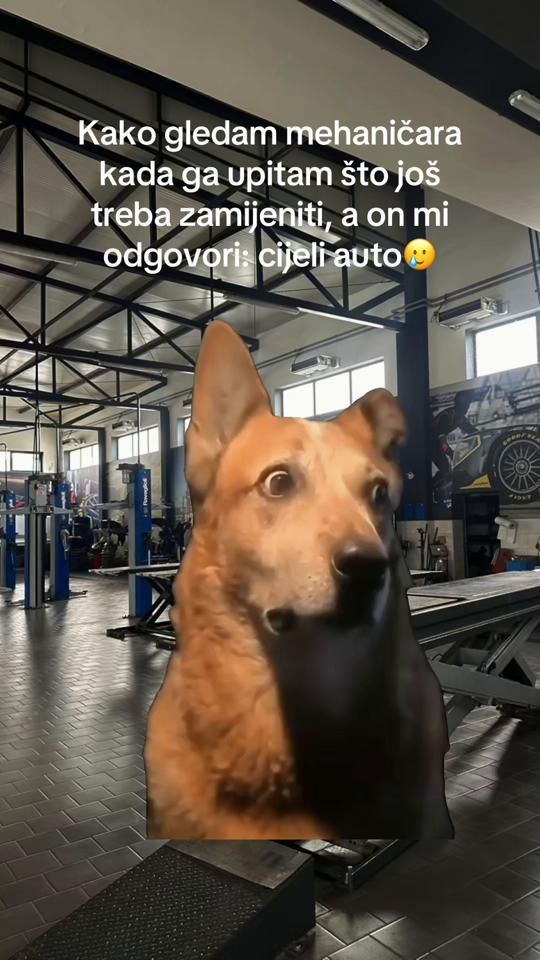 TikTok video thumbnail by autodragohr