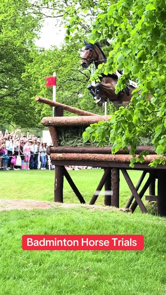 TikTok video thumbnail by emmamichael715