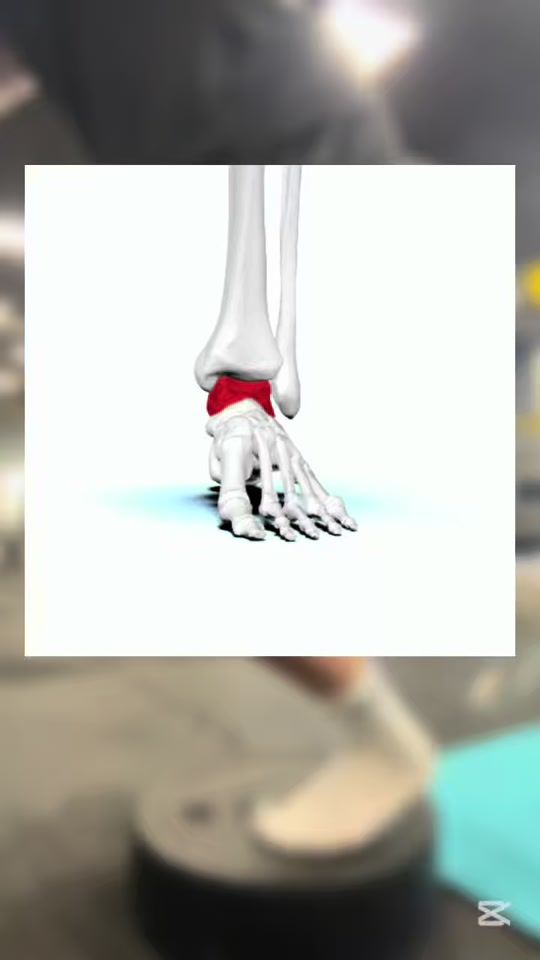 TikTok video thumbnail by matilipp