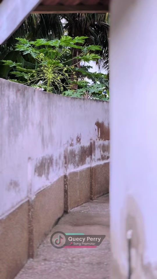 TikTok video thumbnail by quecy_perry