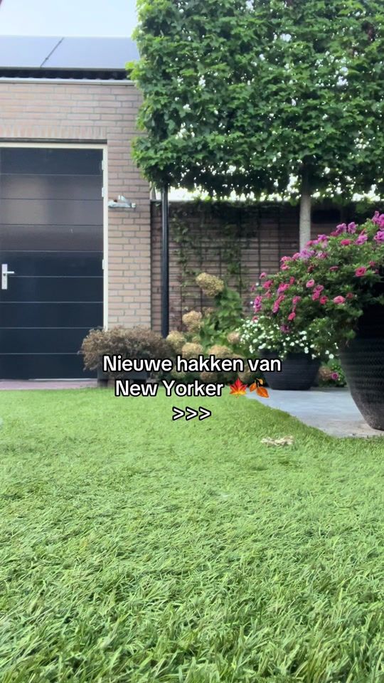 TikTok video thumbnail by lynn.noten