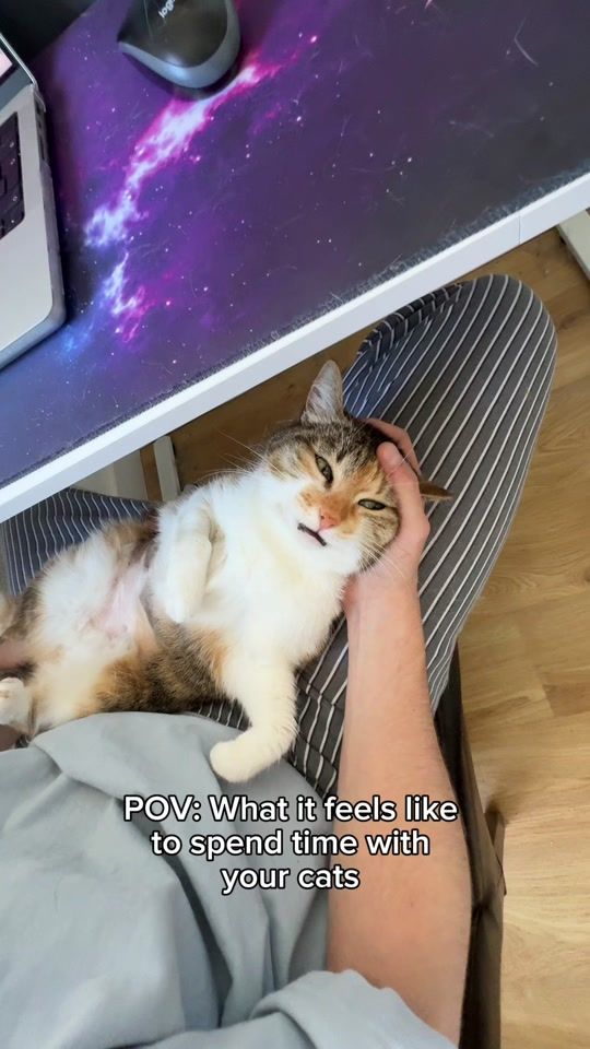 TikTok video thumbnail by mrs.miuki