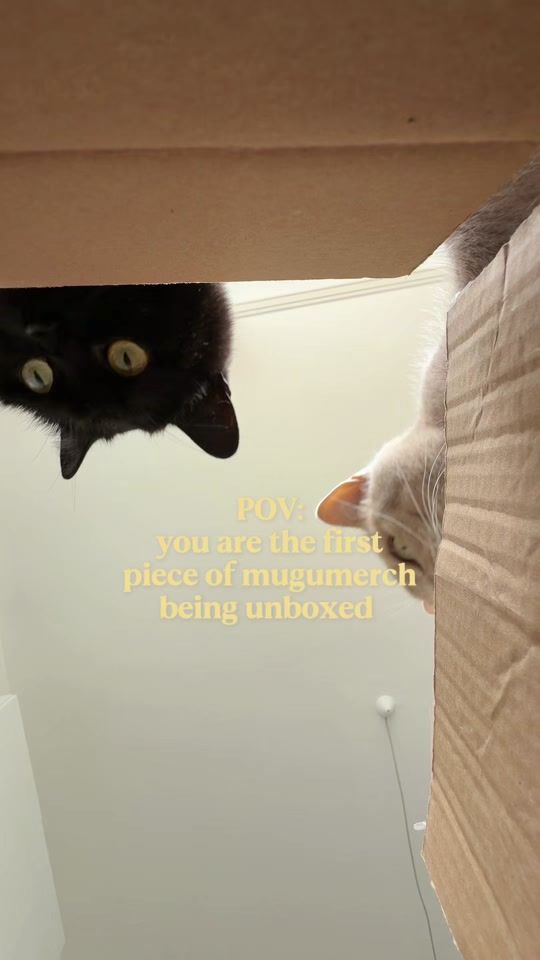 TikTok video thumbnail by mugumeow