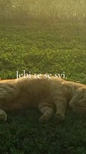 TikTok video thumbnail by opsjednuti_ludak_