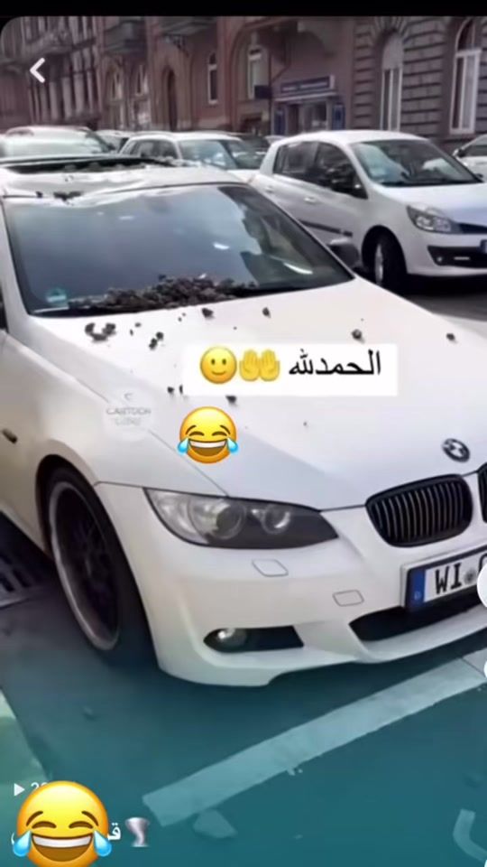 TikTok video thumbnail by evan_gold1