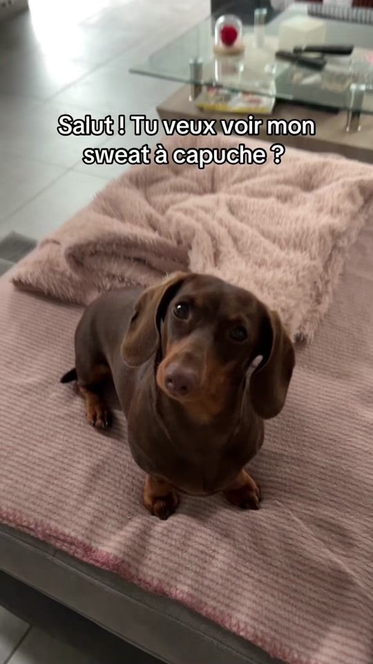 TikTok video thumbnail by mayateckel