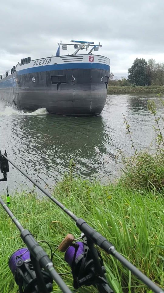 TikTok video thumbnail by jocarpfishing