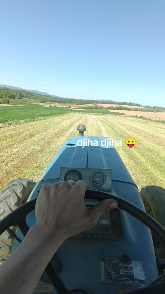 TikTok video thumbnail by opg_kolaric