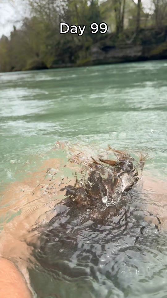 TikTok video thumbnail by havrofficial