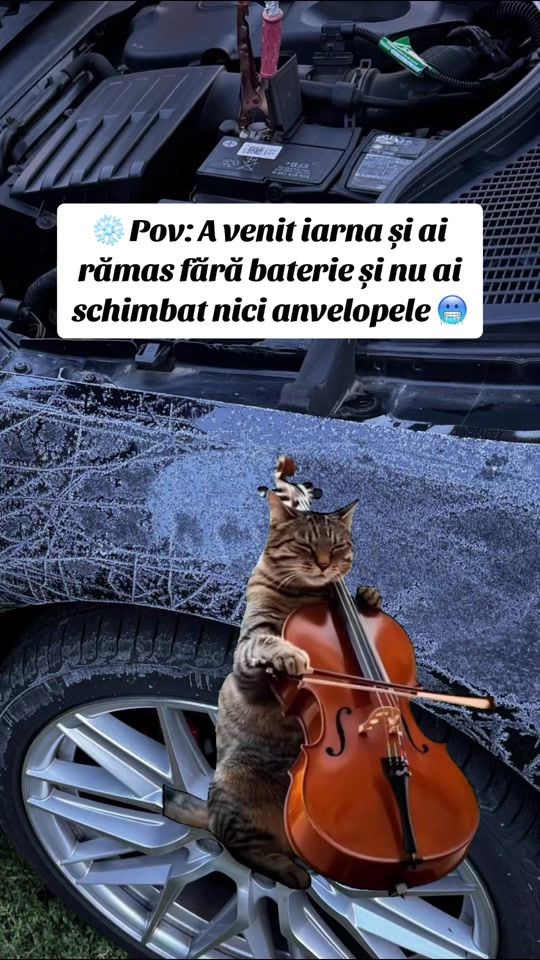 TikTok video thumbnail by mihaimike