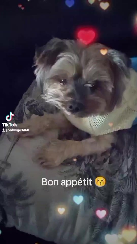 TikTok video thumbnail by edwige3460