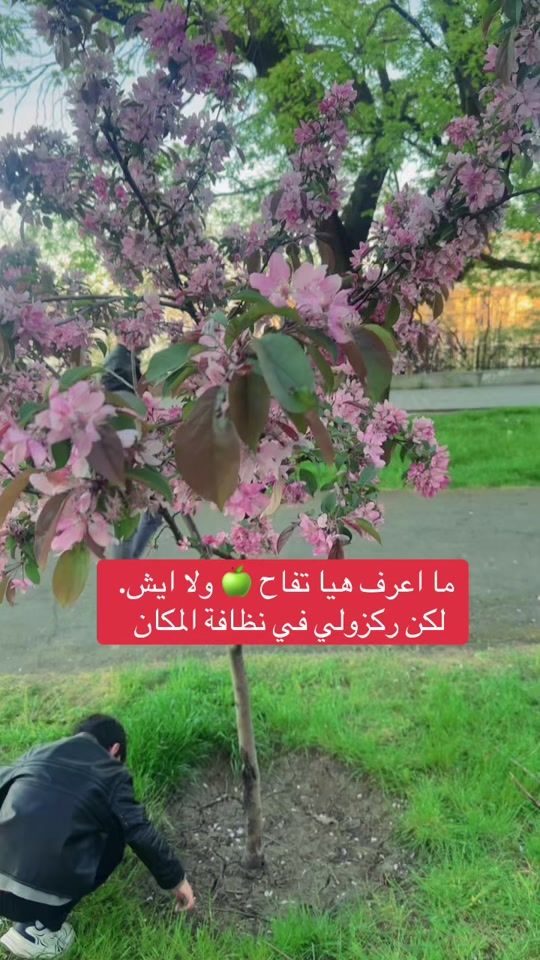 TikTok video thumbnail by aboaziz51