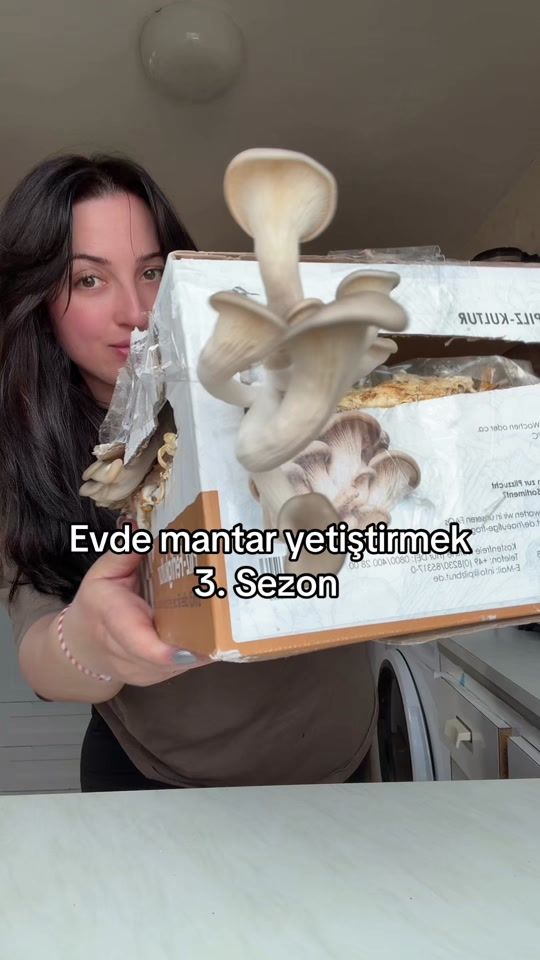 TikTok video thumbnail by hellobilana_