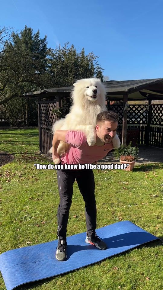 TikTok video thumbnail by wanderlust_samoyed
