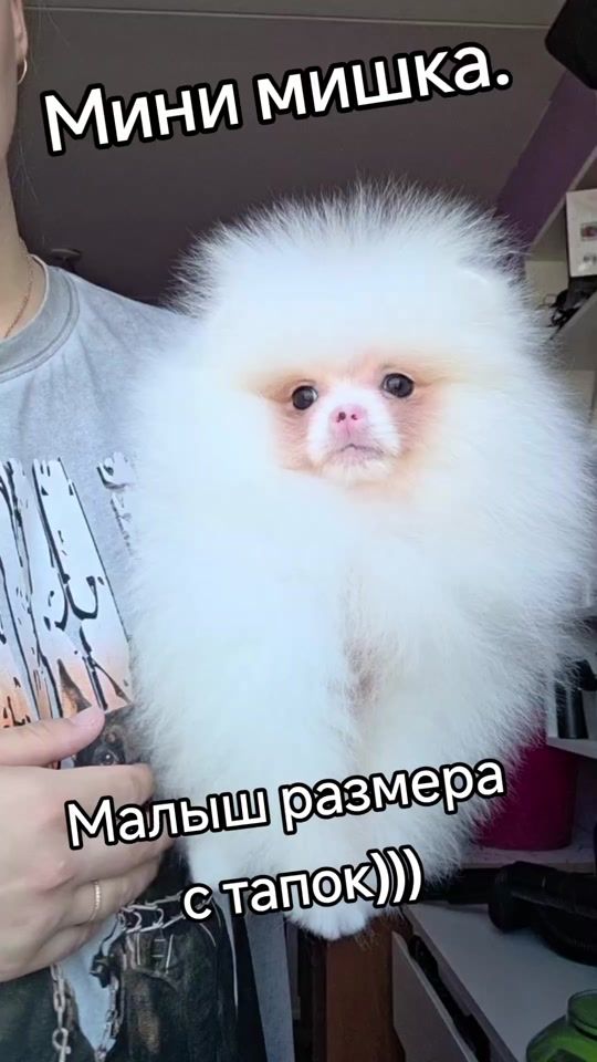 TikTok video thumbnail by vselenaja5