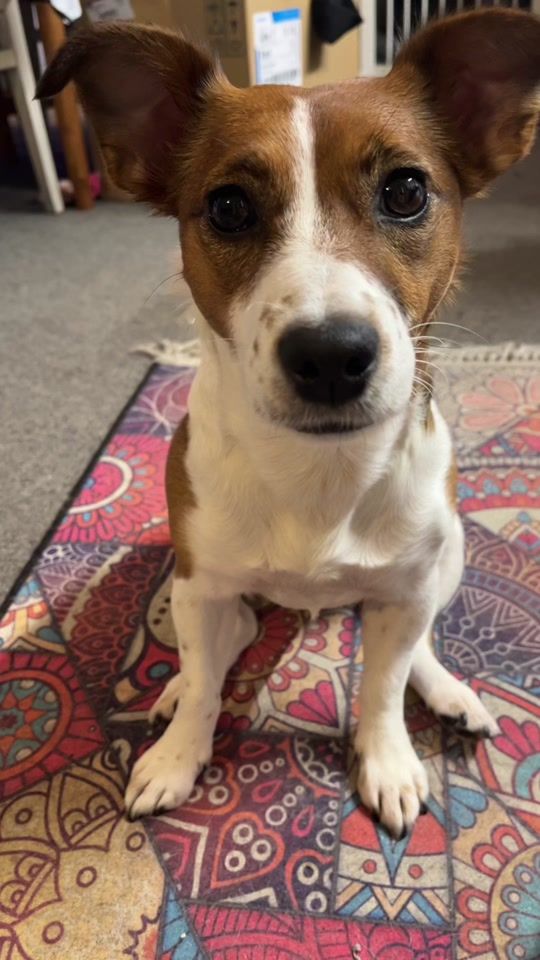 TikTok video thumbnail by rileymoo_2022