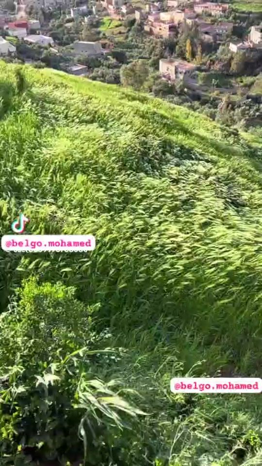 TikTok video thumbnail by belgo.mohamed