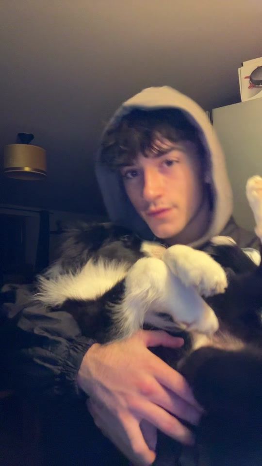 TikTok video thumbnail by adeltefaitunpetitreuf