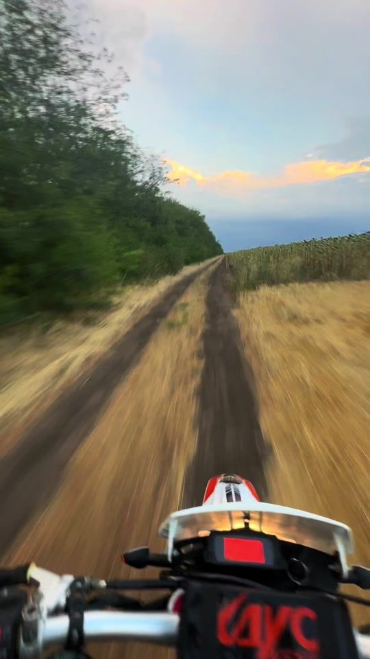 TikTok video thumbnail by plantoom_drv