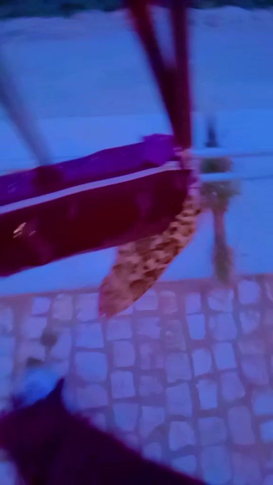 TikTok video thumbnail by sanamlka