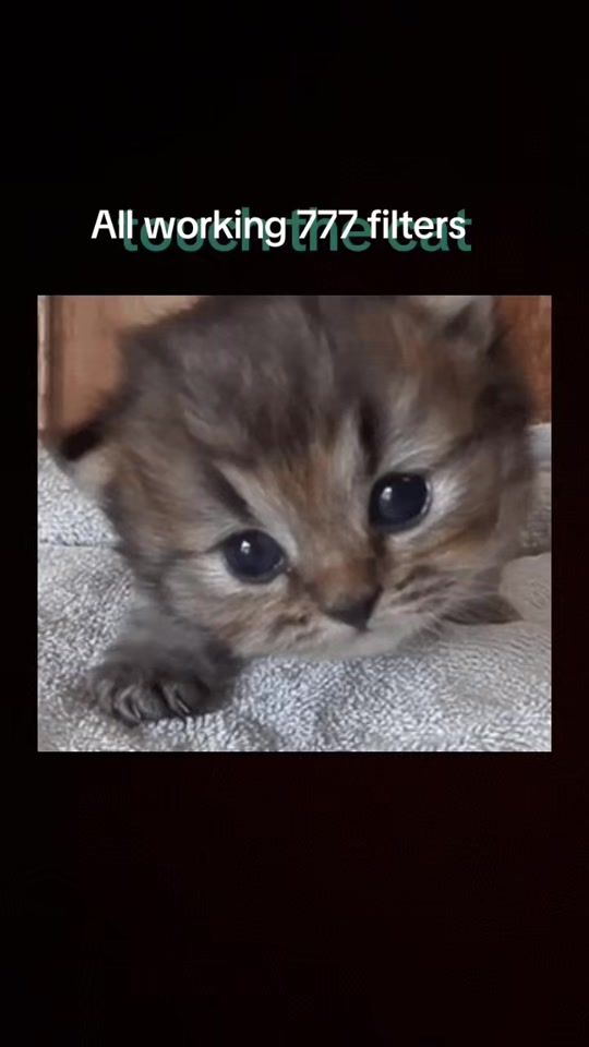 TikTok video thumbnail by dont.check.my.rep65