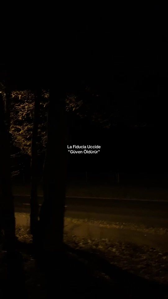 TikTok video thumbnail by 61_elfida