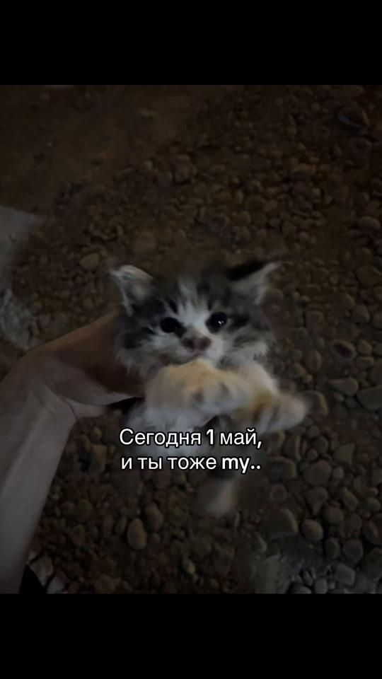 TikTok video thumbnail by borjakov2