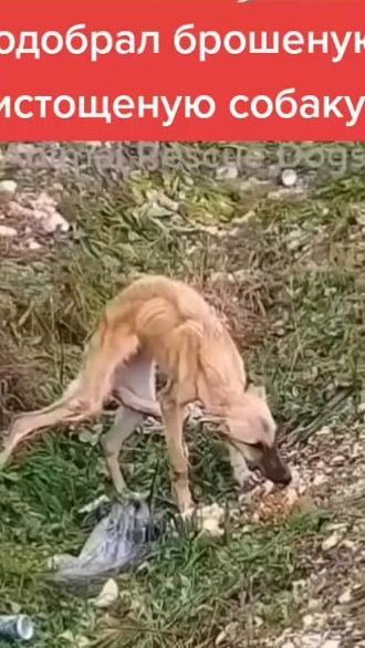 TikTok video thumbnail by musatusa2