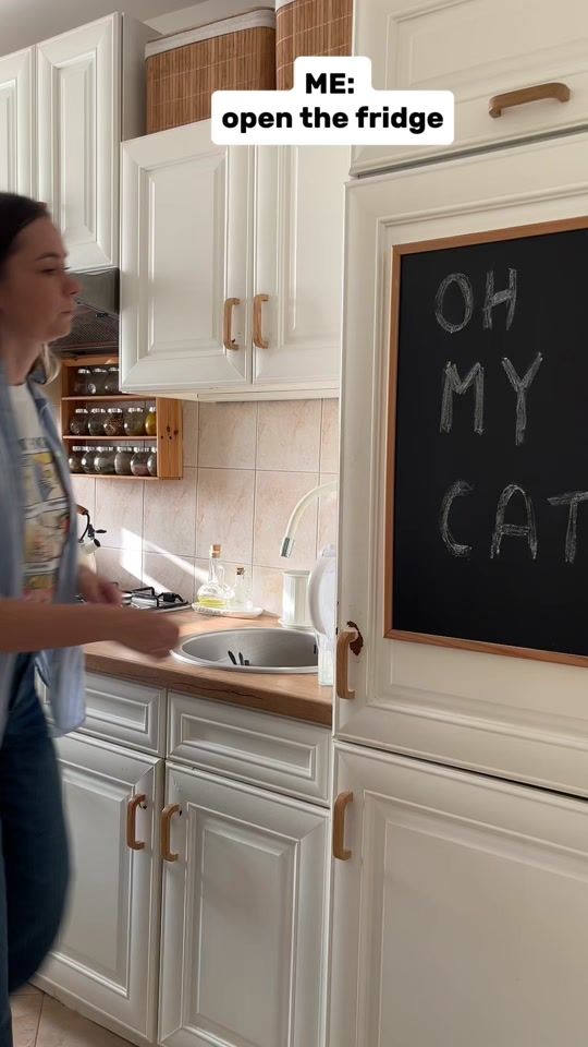 TikTok video thumbnail by oh_my_cat