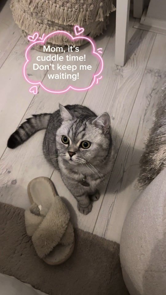 TikTok video thumbnail by siissii94