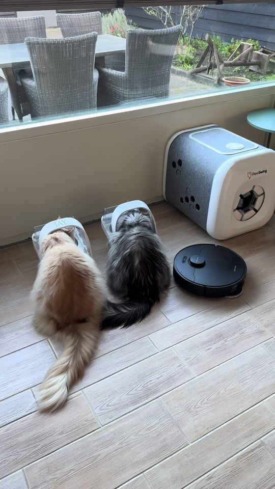 TikTok video thumbnail by june.thekitty